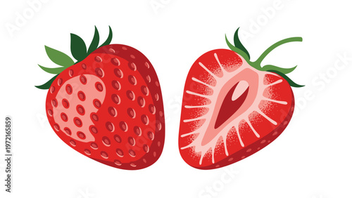 Detailed illustration of one whole red strawberry and one half strawberry showing the inside texture and seeds on white.