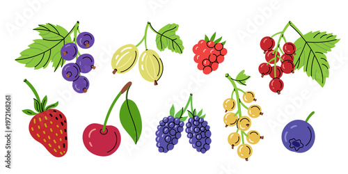 Delicious set of garden berries including strawberries, cherries, raspberries, blueberries, and currants. This vibrant flat illustration features organic shapes and bright colors, perfect for healthy 