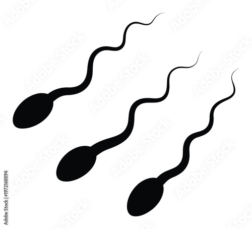 Sperm Cells Vector Illustration