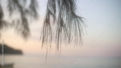 Tri Trang Beach, located near Patong Beach in Phuket Province, is a quiet and natural beach with rocky shores and clean white sand. uncrowded, making it ideal relaxation, picnics, and taking photos.