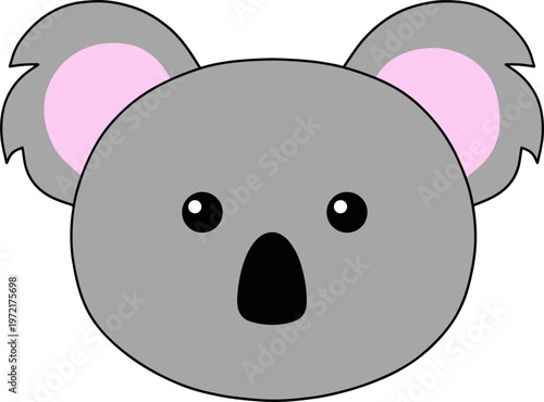 Photography koala