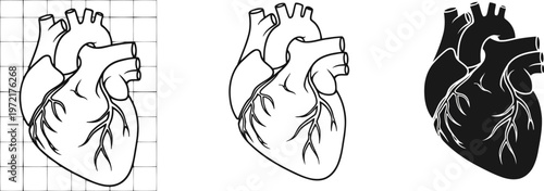 Heart Icon Set – Medical Health & Cardiovascular System