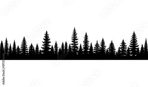 Fir tree silhouette panorama with coniferous forest skyline spruce woodland vector isolated on white background