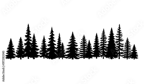 Hand drawn fir tree silhouette panorama with coniferous forest woodland vector background isolated on white