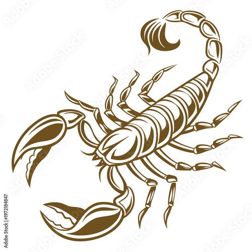 vector illustration of a scorpion
