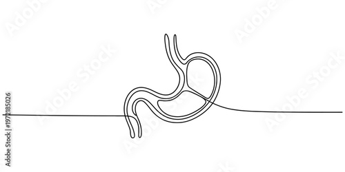 Human stomach digestive system one line drawing medical anatomy concept