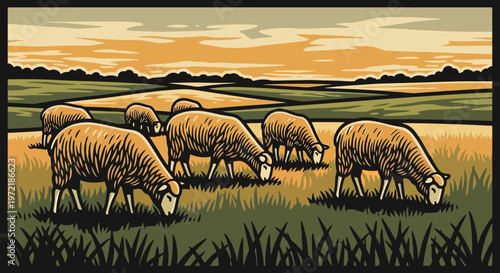 Rustic sheep grazing in farm field with sunset background in vintage style