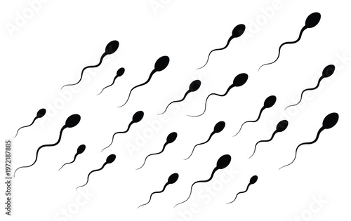 Sperm Cells Vector Illustration