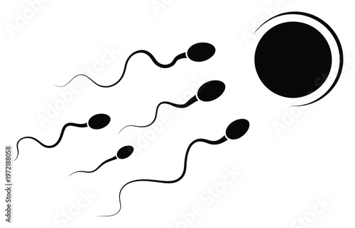 Sperm Cells Approaching Egg Vector Illustration