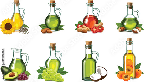 Cooking Oil Bottle Illustration Set with Olive Sunflower Avocado Coconut and Vegetable Oils Collection for Healthy Food and Kitchen Use