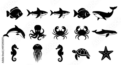 black silhouettes of various sea creatures