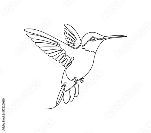 "Mid-air pause". Minimalistic one-line drawing tiny hummingbird hovering with wings extended and delicate balance in fluid contour, continuous single black