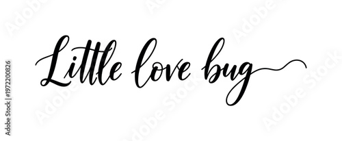 Little love bug. lettering and all elements in black. Vector style. AWhite background. Pure white background. Perfect isolation and visual consistency. Elegant