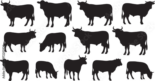 Collection of black cow silhouettes in various poses and positions