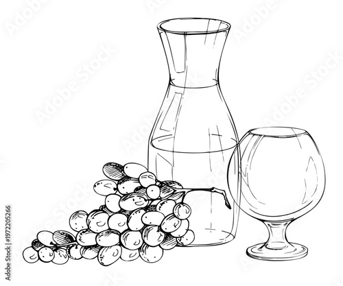 Wine carafe decanter jug, empty balloon glass, harvested grape bunch still life. Ink vector illustration hand drawn for catering brochures and flyers, eco packaging, gift sets and presentation boxes