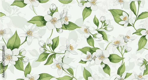 Orange blossom and jasmine flowers seamless pattern vector illustration elegant botanical background.
