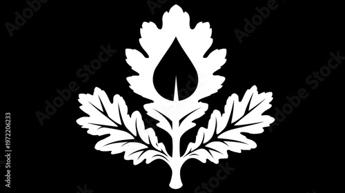 Stylized white leaf design with black background featuring a central teardrop shape