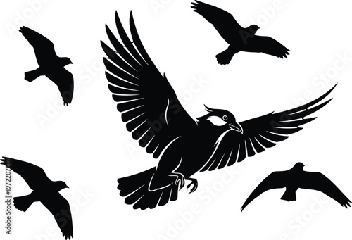 Flying eagle silhouettes set with spread wings birds of prey vector illustration collection