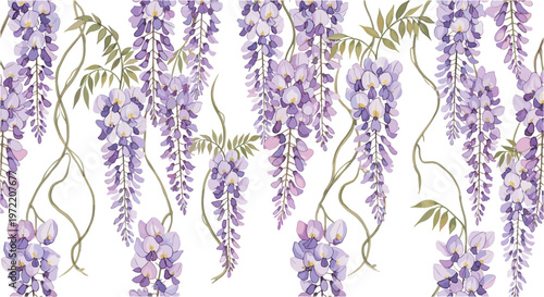 Seamless pattern of purple wisteria flowers hanging down on a white background, delicate floral.