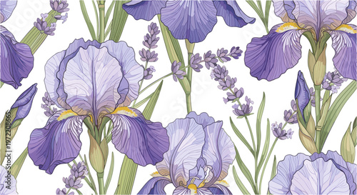 Seamless pattern with purple iris flowers and lavender sprigs on white background vector.