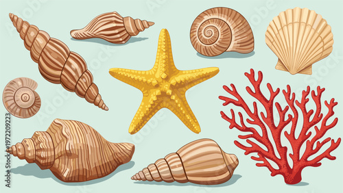 Diverse collection of sea shells, a bright yellow starfish, and red coral branches arranged on a light blue sea themed background.