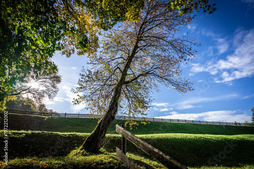 Φωτογραφία Baum an Straße bei Güntersberge im Harz mit Landschaft im Hintergrund
