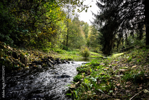 Cuadro en lienzo Bach im Wald bei Güntersberge im Harz – Natur Landschaft