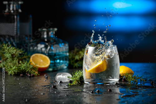 Quadro em tela Gin and tonic cocktail with juniper branches and lemon slices.