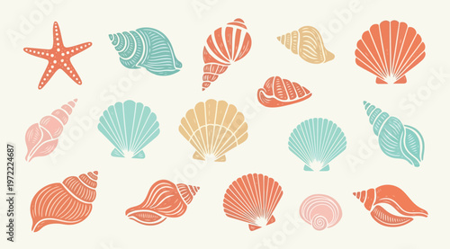 Set of various sea shells and starfish, hand drawn vector illustration of marine life elements