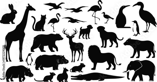 Wild and zoo animals silhouette collection, various mammals birds and reptiles, wildlife set illustration, safari fauna vector design