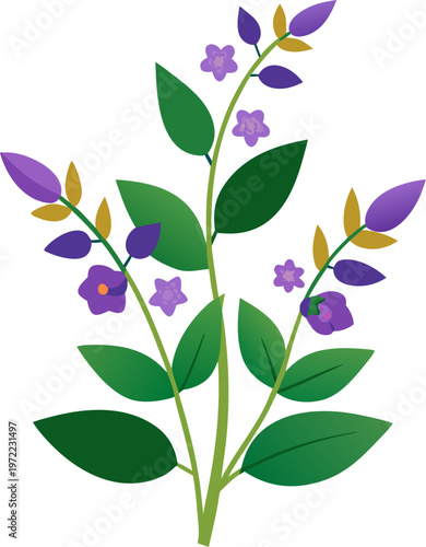 Enchanter’s Nightshade flowers vector icon white background
