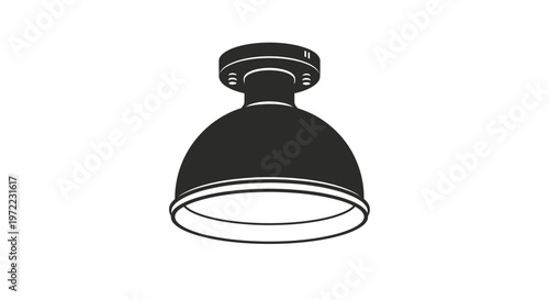 Black ceiling light fixture lamp shade.