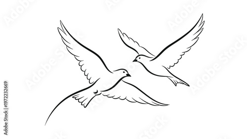 Minimalist black ink sketch of two elegant birds in flight with long tails and wings spread wide against a plain white background for wall decor.