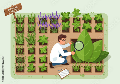 ハーバルガーデンで植物を観察し、拡大鏡を使って詳細を調べている人物のイラスト。