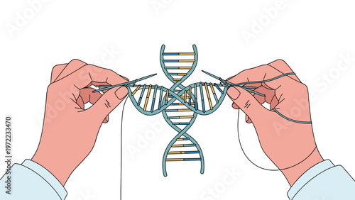 Science concept illustration showing hands in a laboratory setting knitting two different DNA strands together to create a new genetic structure.