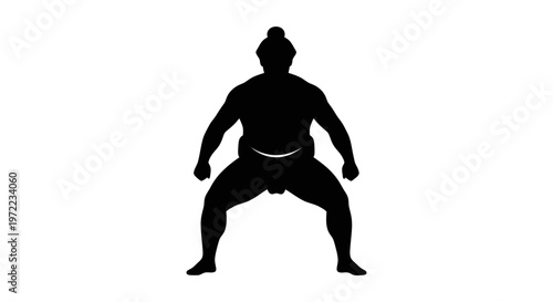 太極拳のポーズをとる人のシルエット、両足を広げてバランスを保つ姿勢。