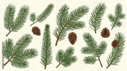 Set of diverse green pine and fir tree branches along with brown pine cones on a light cream background for nature designs.