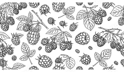 Hand drawn raspberry seamless pattern vintage engraved berry branches summer fruit vector