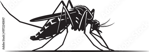 Detailed mosquito silhouette vector illustration showing side view of blood sucking insect with long legs and wings isolated on transparent backdrop