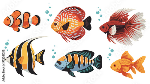 Beautiful variety of colorful tropical aquarium fish including clownfish, goldfish, and angelfish swimming on a white background.