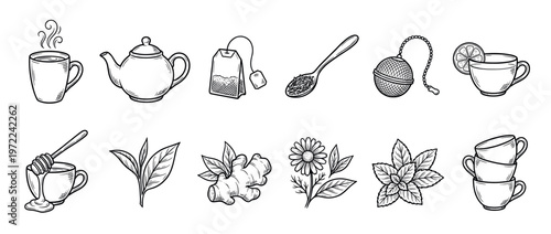 Tea and herbal drink elements collection featuring various ingredients, brewing tools, and serving cups in a hand-drawn sketch style.