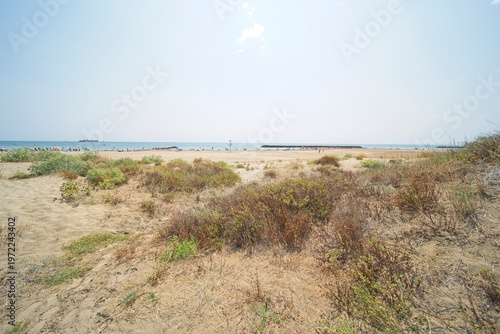 the beach of Cap d’Agde in southern France in summer