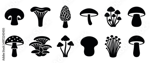 Collection of various mushroom silhouettes, including different types of fungi and toadstools, perfect for nature and food-related designs.
