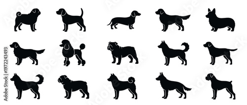 Dog breeds silhouettes collection featuring various popular canine companions in a simple graphic style.
