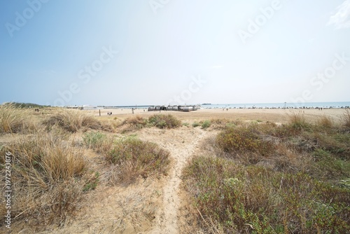 the beach of Cap d’Agde in southern France in summer