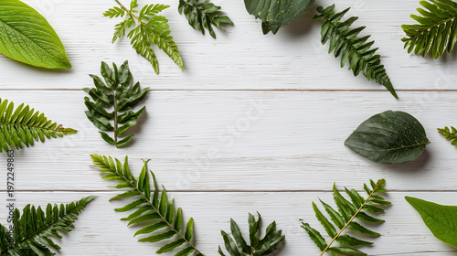 白木の背景に並べた緑の葉のフラットレイ