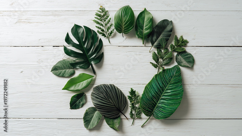 白木の上に円形に並べた熱帯植物とモンステラの葉のフラットレイ