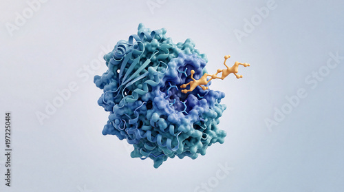 Dynamic molecular embrace revealing the precise connection between a vital blue structure and its golden partner in the microscopic realm