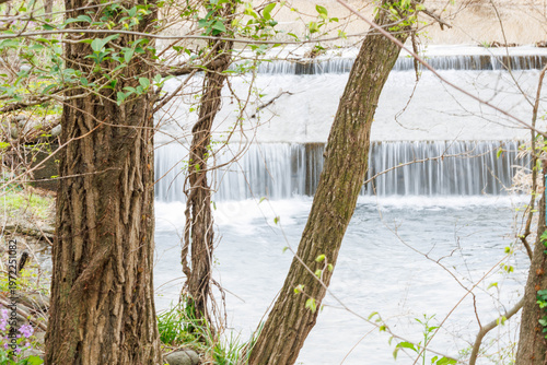 雨上がりの増水した小川の様子