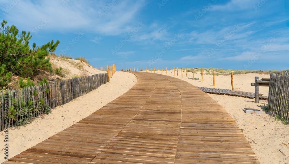 Fototapeta premium Le Porge Ocean